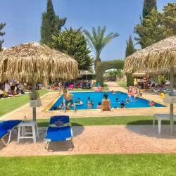 Camel Park Mazotos Pool